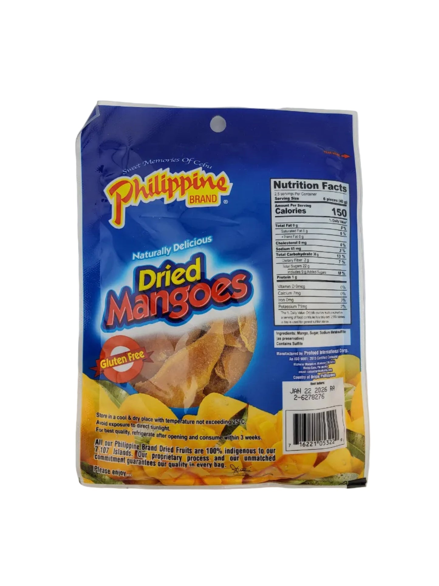 Philippine Dried Mango 100 g
