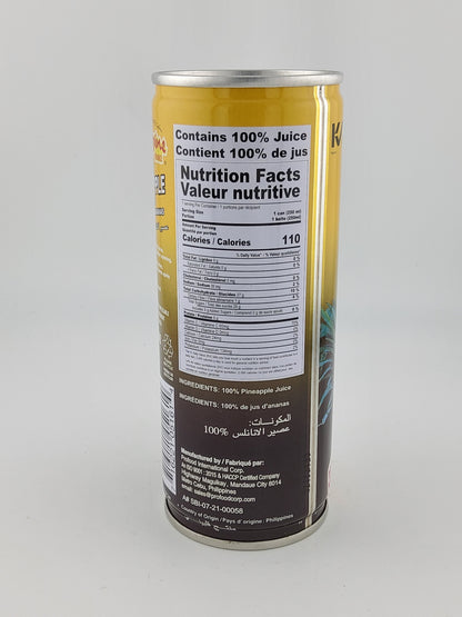 Philippine Pineapple Juice 8.4 fl oz | 250 mL