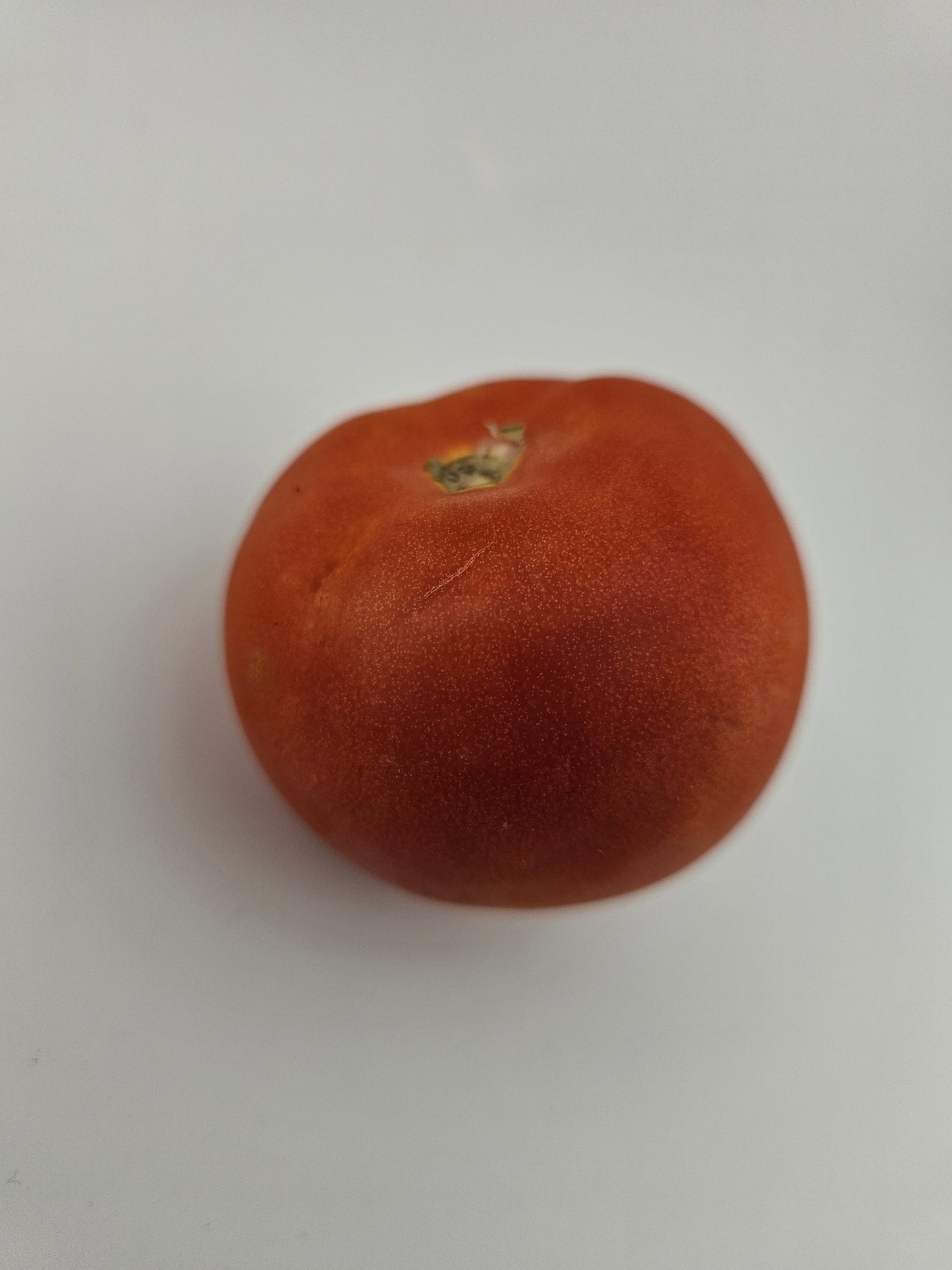 Fresh Tomato - Round /Pc