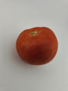 Fresh Tomato - Round /Pc