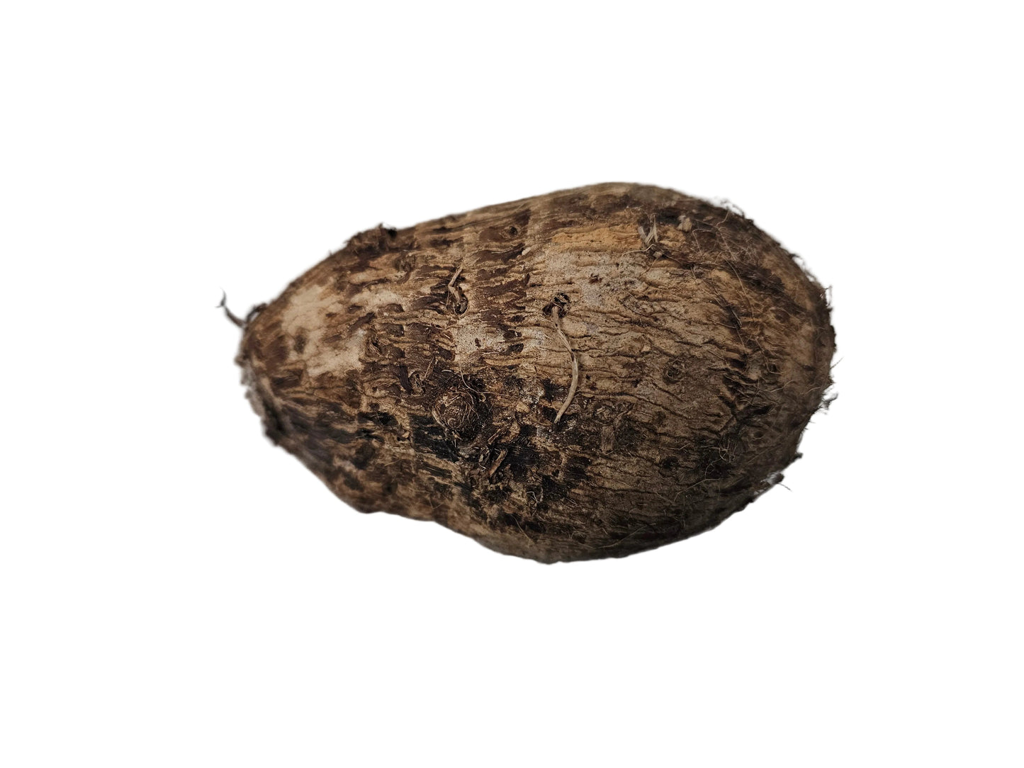 Fresh Taro Root /Pk