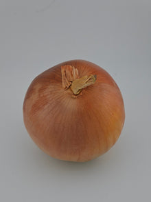 Fresh Yellow Onion /Pc