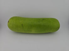 Fresh Long Squash /Pc