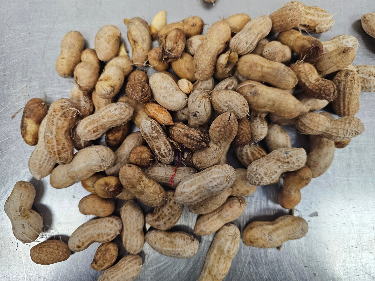 Fresh Green Peanuts /pk