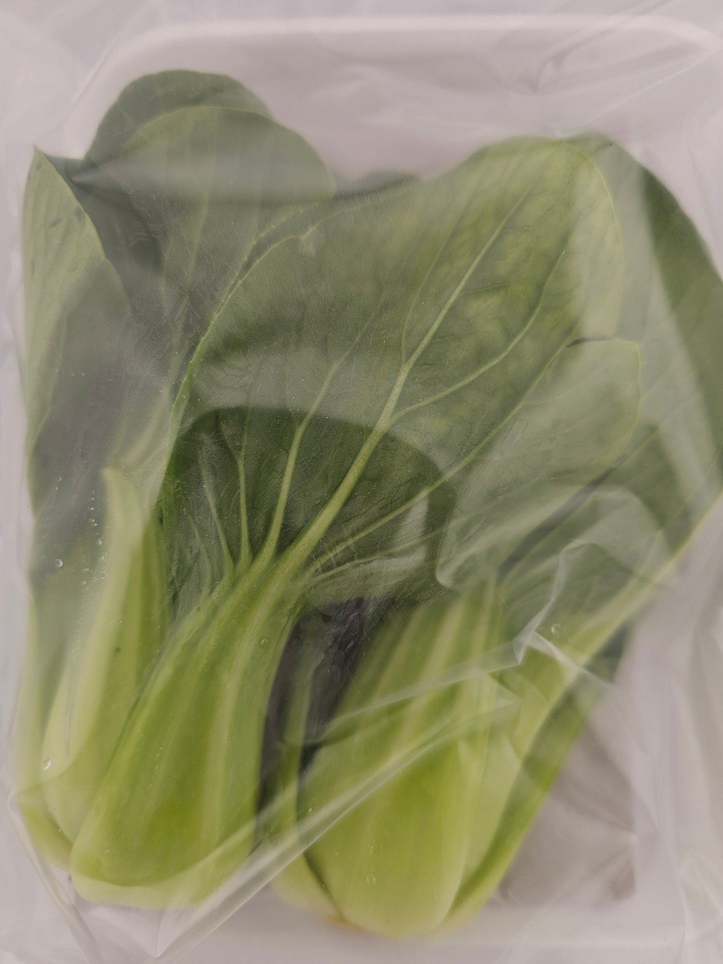 Fresh Baby Bok Choy /Pk