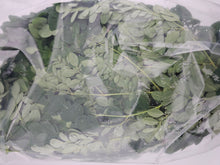 Fresh Horseradish Leaves / Bundle