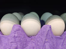 Fresh Balut /Pc